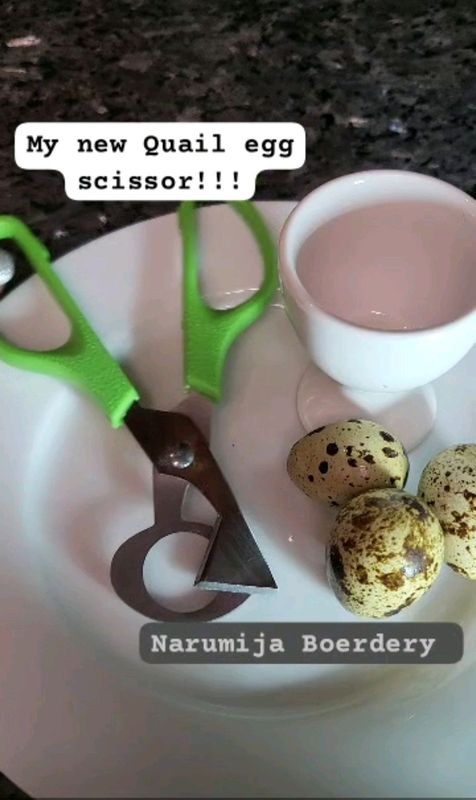 Quail egg scissors