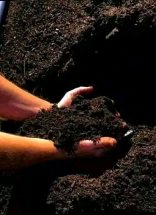 Compost,topsoil and lawn dressing