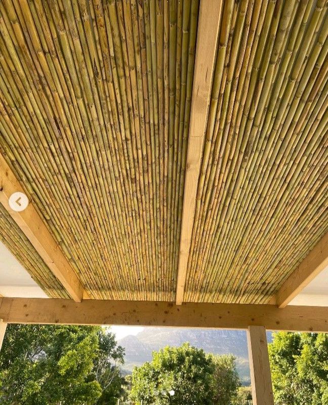 Bamboo ceiling