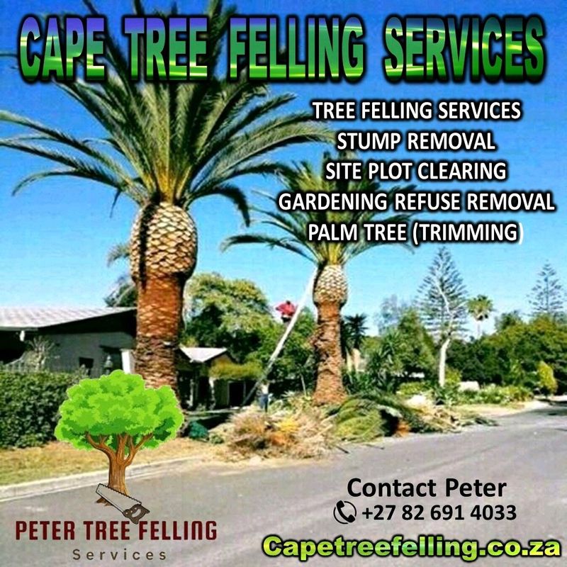 Tree felling and garden