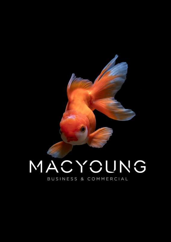 MACYOUNG: TACKLE, SPORT AND PET SHOP – URGENT SALE  (Garden Route)