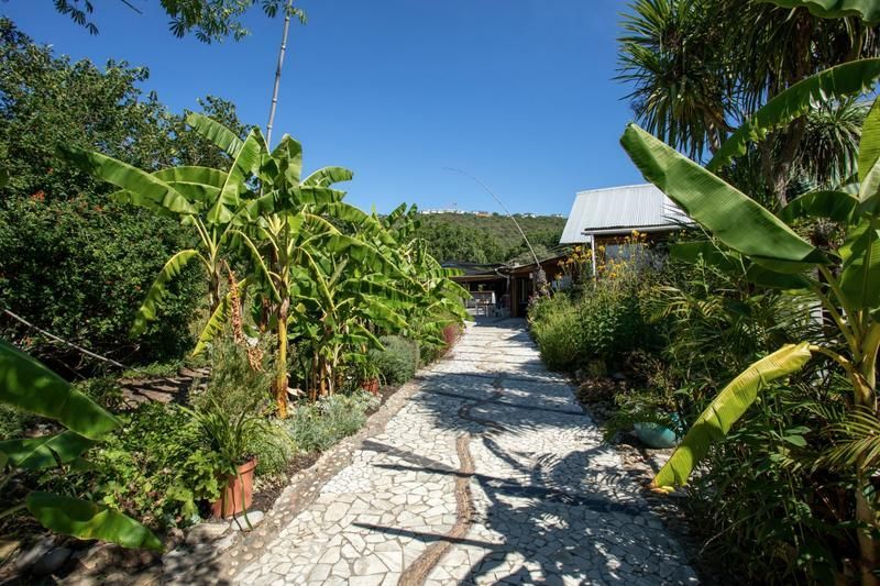 Own your smallholding and business in The Original Trading area of Plettenberg Bay