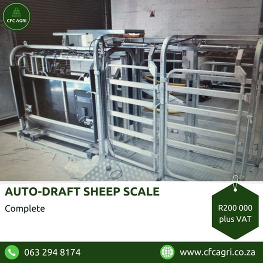 For Sale: Auto-Draft Sheep Scale