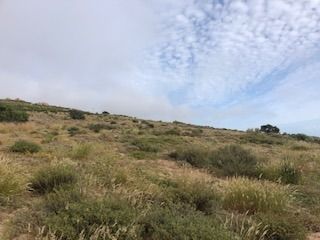 Vacant Land For Sale St Helena Bay