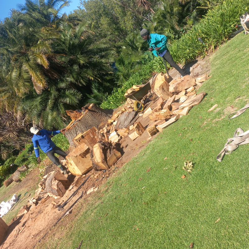 James  L j tree felling   , garden services  &amp; stamp ,  irrigation installation.