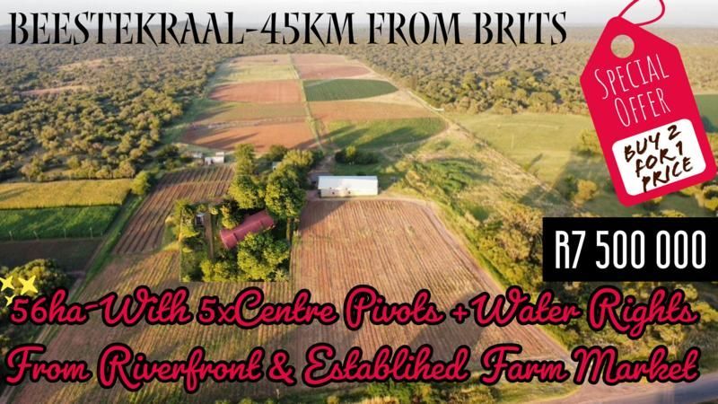 FULLY DEVELOPED -56Ha RIVERFRONT FARM IN BEESTEKRAAL(45km from Brits)FOR SALE.