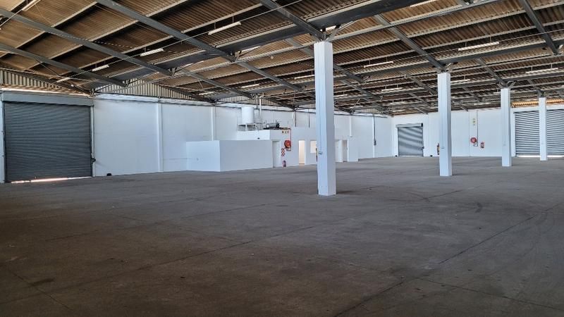 Neat and Spacious Warehouse