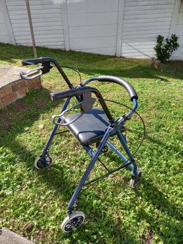 Adult Walker in Mint Condition