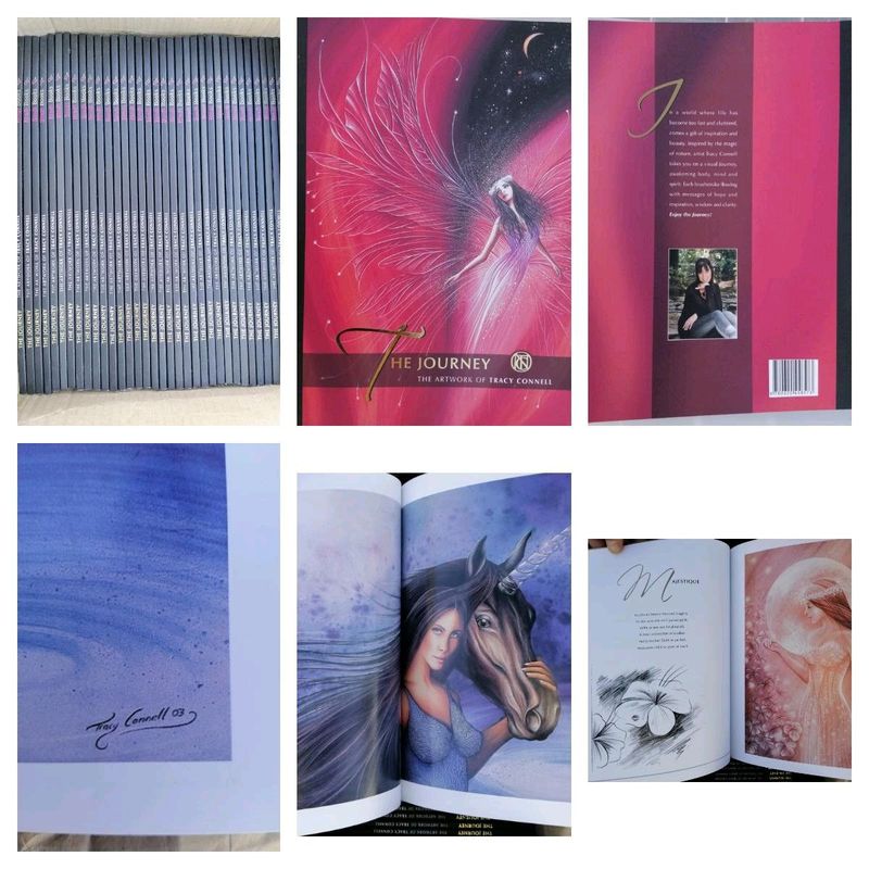 The JourneyThe Artwork of Tracy Connell New books x37 available R200