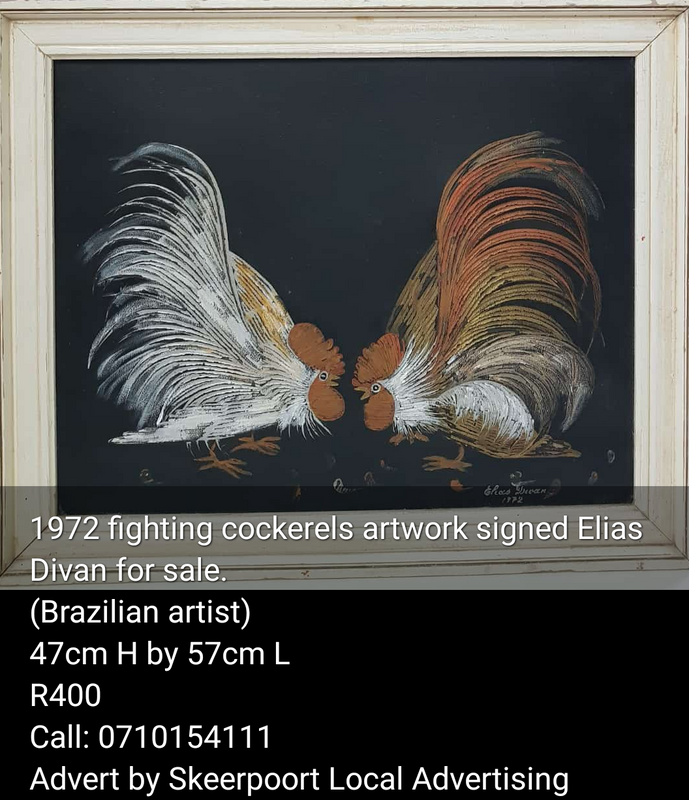 1972 fighting cockrels artwork signed Elias Divan for sale