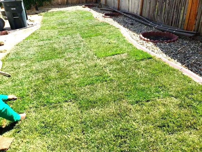 Gumtree grass cutting sale