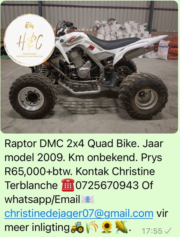 Raptor DMC 2x4 Quad Bike.