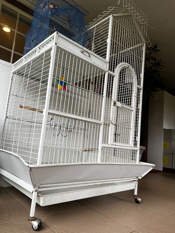 2Nd Hand Large Indoor outdoor Parrot Cage for sale.  R2999.00  Cockatiel Cage For Sale R399  Whatapp