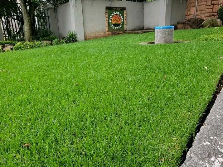 DELIVERY AND INSTALL KIKUYU GRASS AND COMPOST WEED FREE