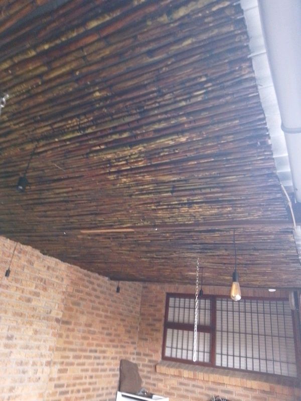 Bambo ceiling