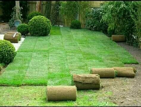 INSTANT ROLL ON LAWN GRASS WEED FREE STRAIGHT FROM THE FARM