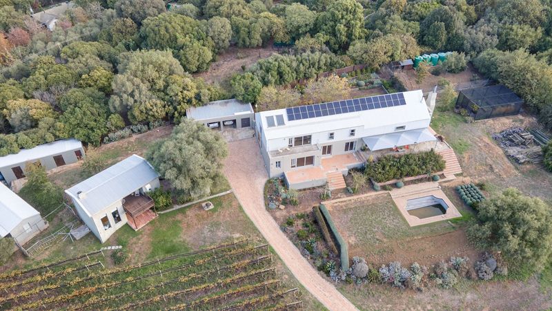 Luxury estate with vineyards, olive groves &amp; stunning views