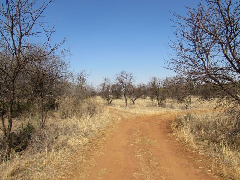 42 Hectare farm in the Cullinan district near Pretoria!!