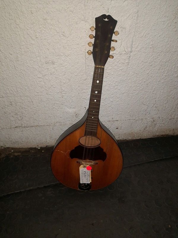 Mandolin guitar 22Apr24
