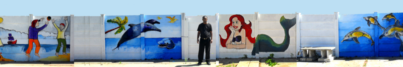 Murals paintings on walls R450 sq meter