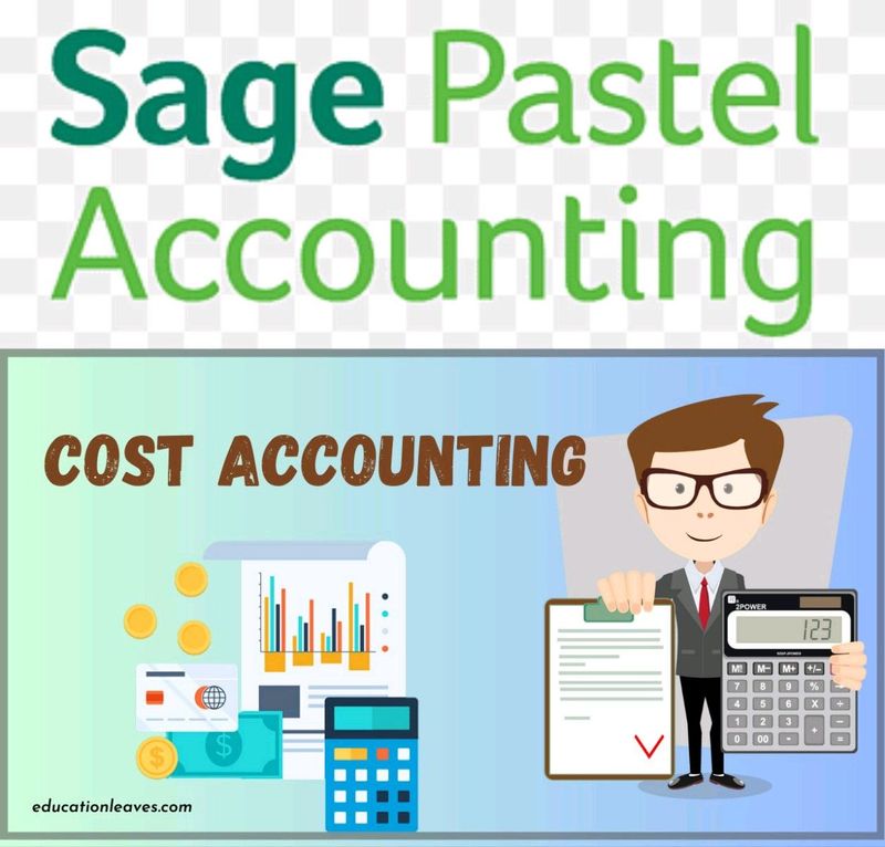 Pastel Accounting reports &amp; Cost Accounting development through Excel VBA programming