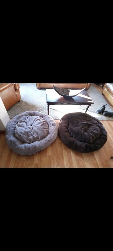 Dog bed for sale