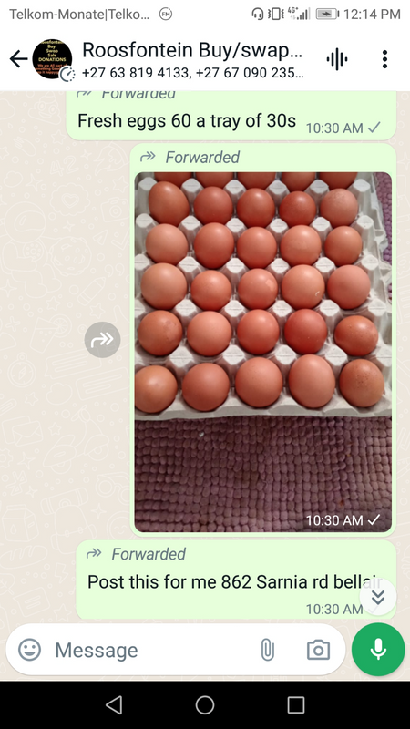 Eggs - Ad posted by Kendra Pillay