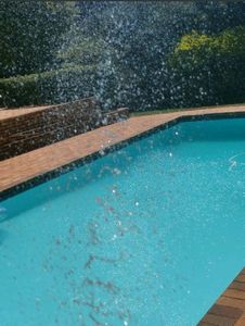 Experienced Gardener Here