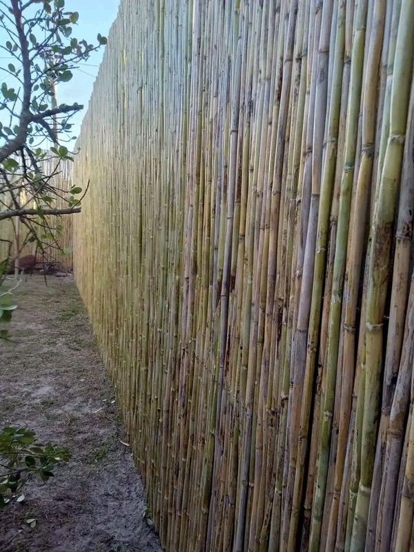 Bamboo fencing
