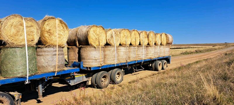 Teff Bales for Sale