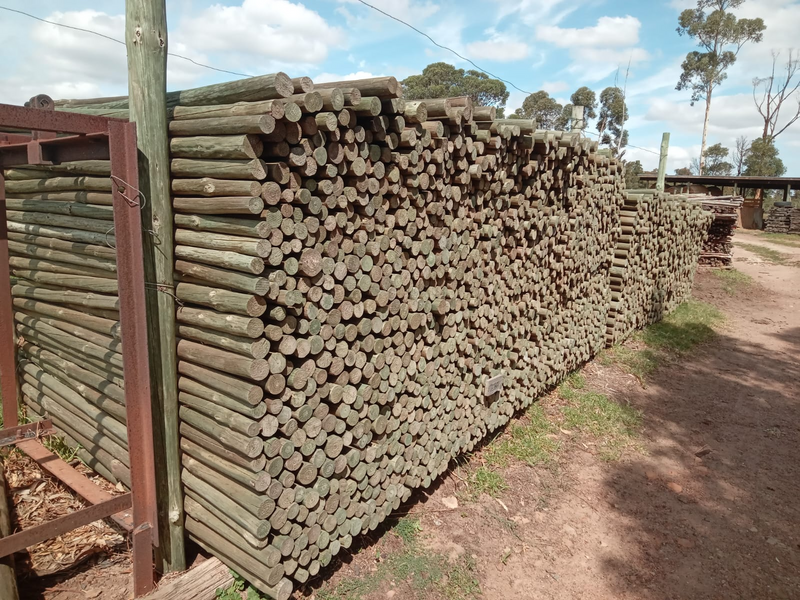 2.1m X 50/60mm CCA treated Pine poles - hand debarked