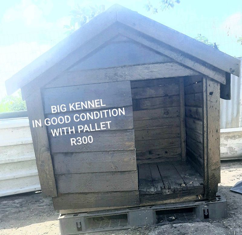BIG KENNEL FOR SALE
