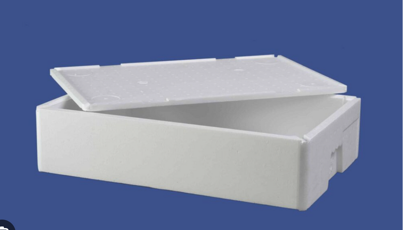 Used 20kg polystyrene cooler container