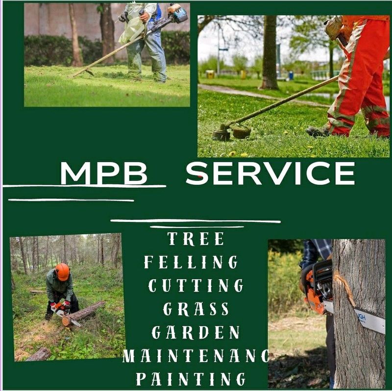 Landscaping Tree felling and Grass cutting
