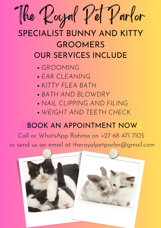 Pet groomers