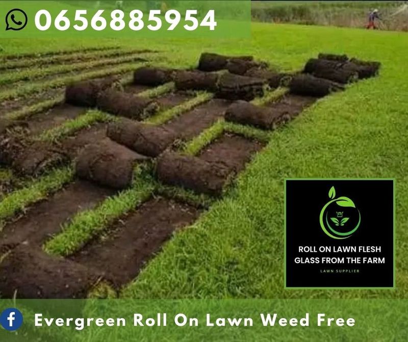 We supply and install all types of roll on lawn grass weed free