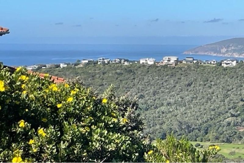 Fynbos and Sea