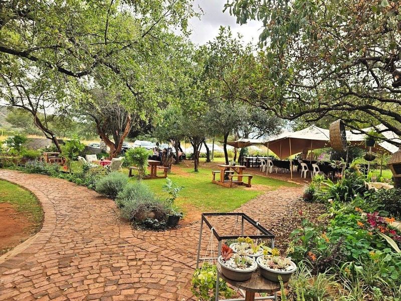 STUNNING 22-HECTARE FARM IN THE HEART OF THE WATERBERG