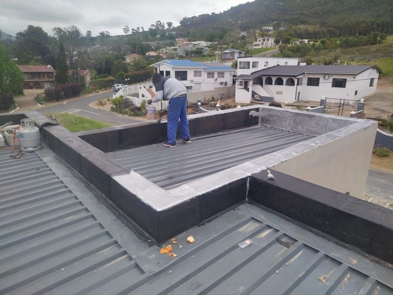 Roof cleaning ,Waterproofing and Painting