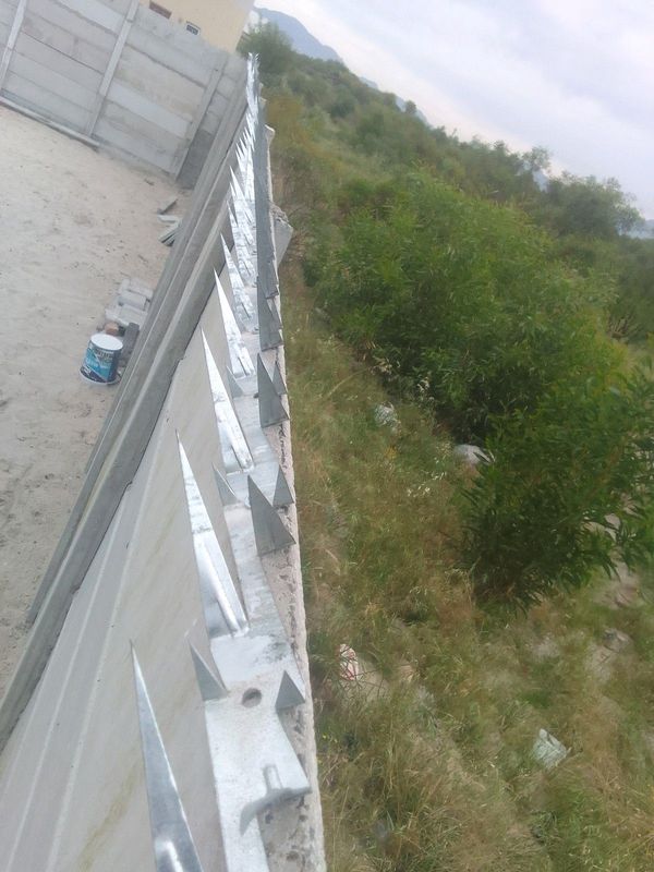 Baracuda galvanized wall spikes 1x2.4m length
