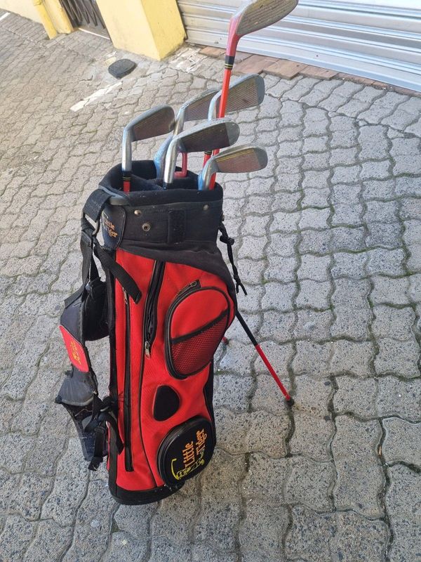 Little tiger junior golf clubs with bag