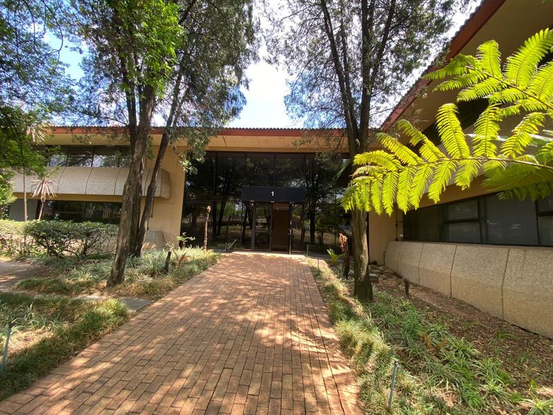 171 Katherine Street | Prime Office Space to Let in Sandton