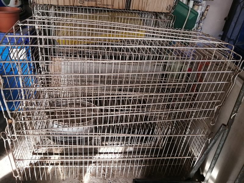 Wire stacking basket