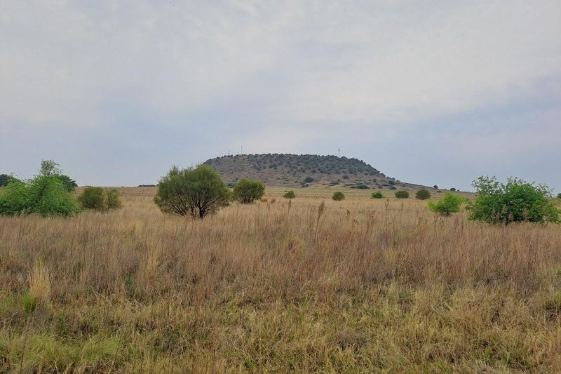 Beautiful land with view of a mountain.