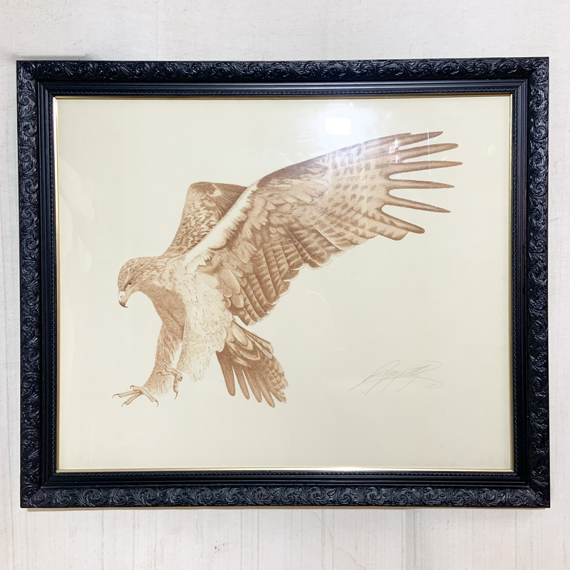 Original Falcon Artwork