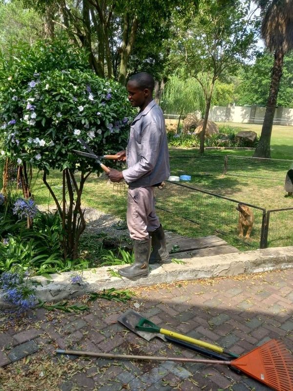 Am Ronald Malawian Man Looking for a Job as Gardener.