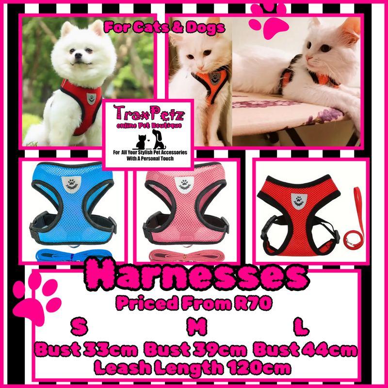 Collars For dogs &amp; Cats - Harnesses, Bowties, Bandanas