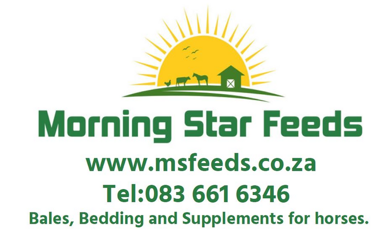 Morning Star Feeds