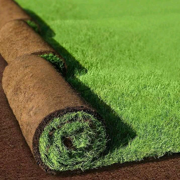 We supply and install all types of grass Lm Berea grass //Kikuyu grass //Buffalo grass