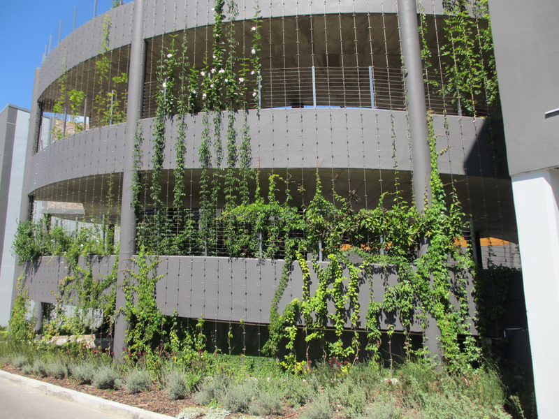 Vertical Green Gardens and Trellis Cables